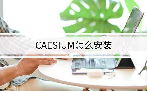 Caesium Image Compressor软件怎么安装