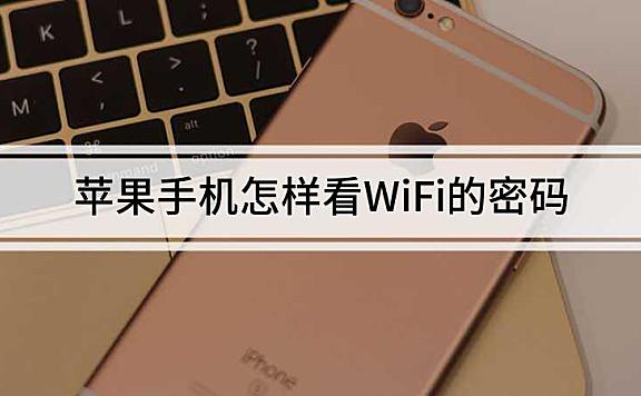 苹果手机怎样看WiFi的密码