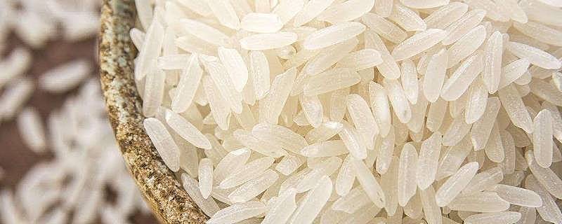 长米粒是什么米