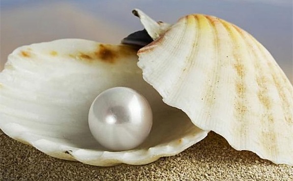 母贝珍珠和珍珠的区别是什么