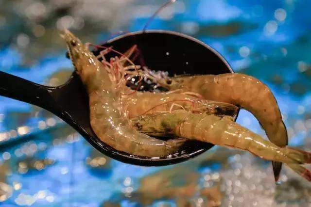 中国青虾十大优质产地