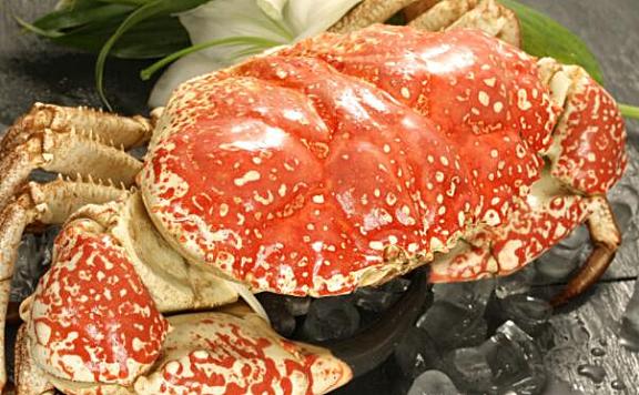 全球十大螃蟹品种
