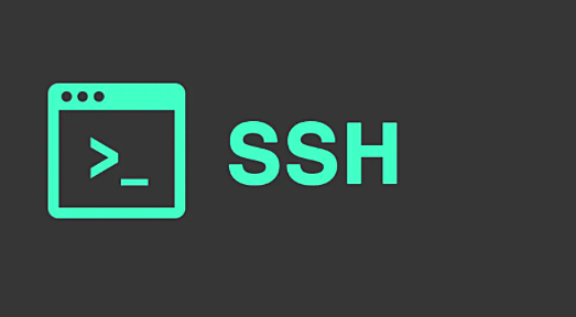 2023年三款免费SSH 客户端登录详情