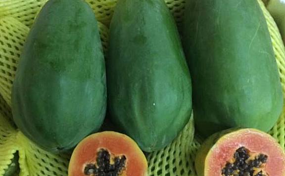 十大最甜木瓜品种