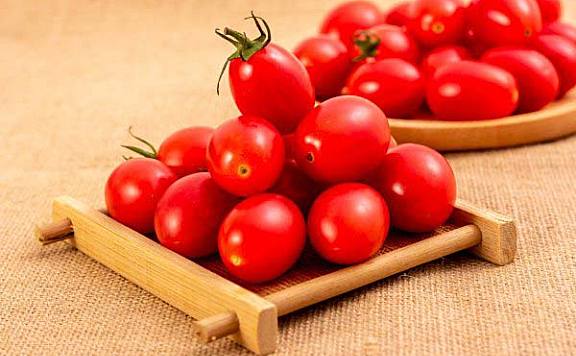 世界上最小的番茄是什么：千禧果营养价值丰富