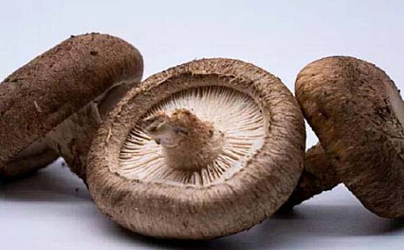 最常见的十种常见菌类：香菇、木耳双双上榜