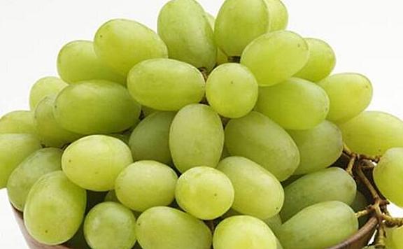 最常见的十大葡萄品种