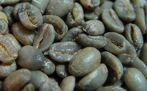 世界十大顶级咖啡豆排行榜：蓝山咖啡排在第二名