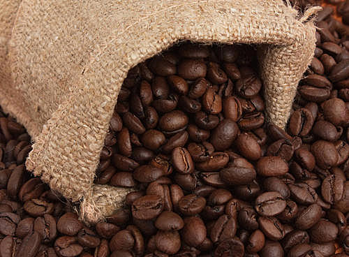 世界最著名的六大咖啡豆