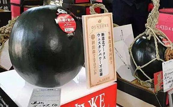 世界上最贵的西瓜