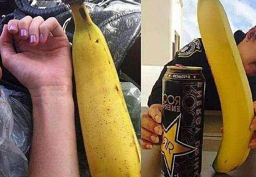 世界上最大的香蕉：够4个人吃