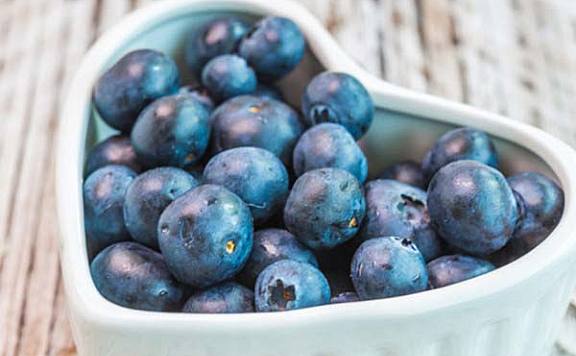 蓝莓品种排行榜