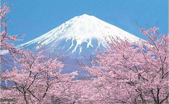 日本最美的自然风光：富士山夺冠
