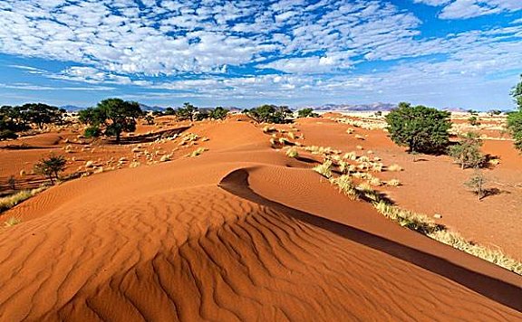 世界上最古老的沙漠：纳米布沙漠