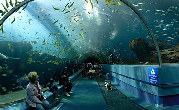 世界上最大的水族馆排名