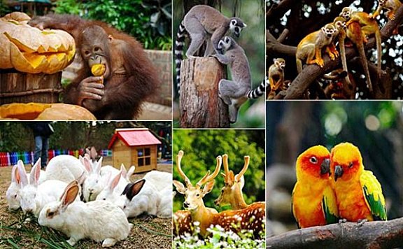 中国十大野生动物公园排名
