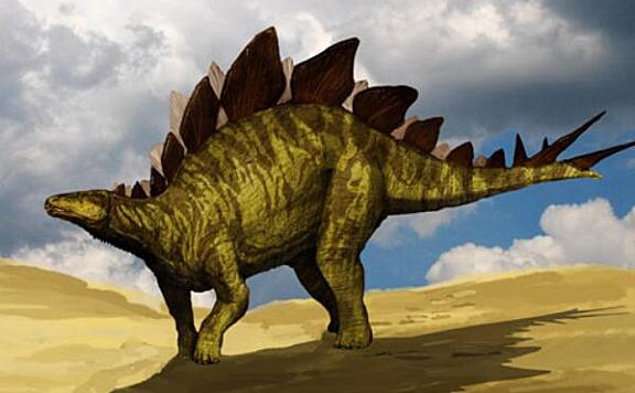 世界上脑最小的恐龙：剑龙身长9米