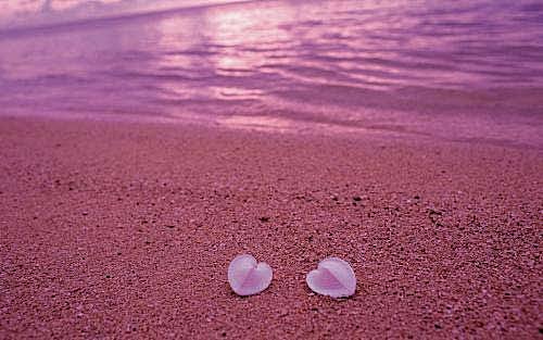 全球十大最美沙滩 粉色沙滩是加勒比海盗取景地