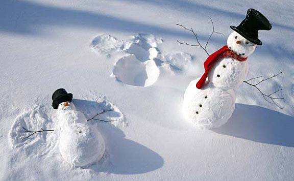 世界上最小的雪人：仅有3微米高