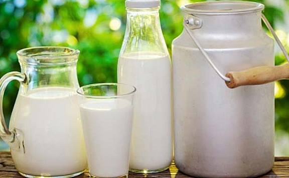 世界奶产量最高的10个国家：美国第一