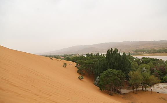 中卫旅游盛典，都在沙坡头