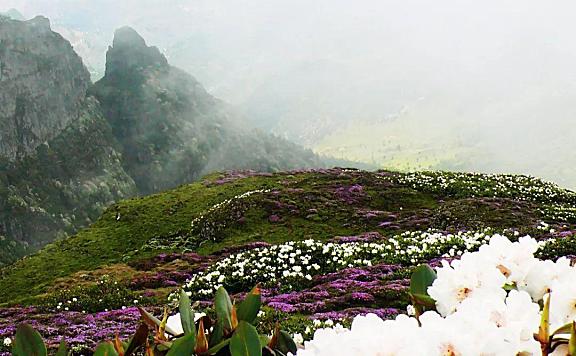 云南周边旅游，轿子雪山还是很冷