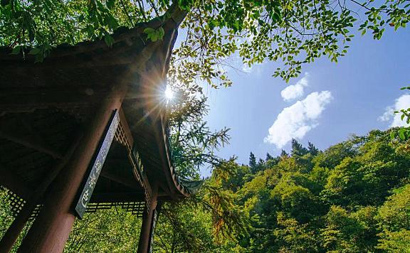 邛崃天台山，萤火虫出没！