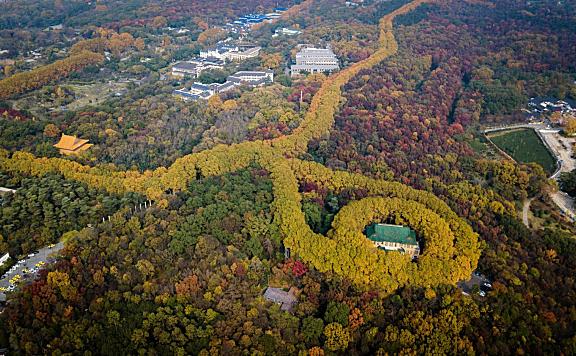 “树是梧桐树，城是南京城” 南京周边旅游攻略