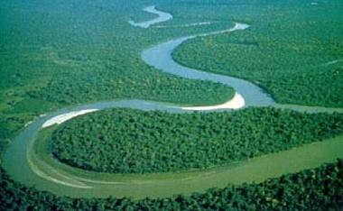 世界上最美的十大热带雨林