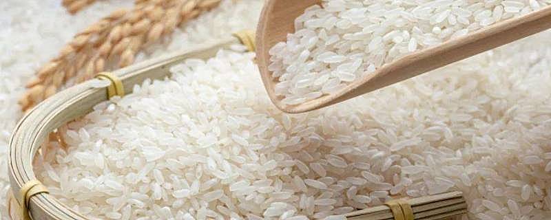 大米的含糖量为多少