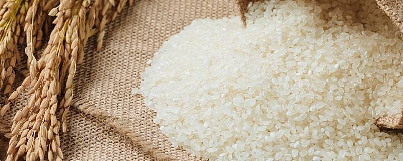 怎么判断大米是发霉了