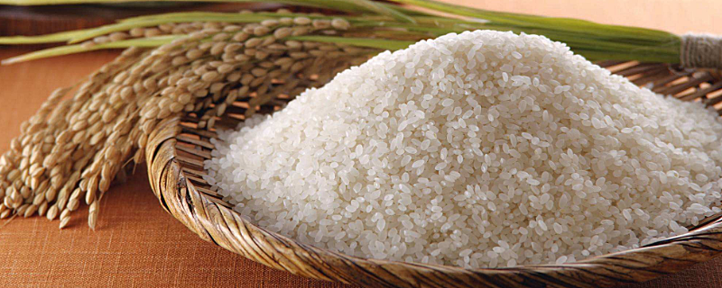 梗米跟大米有什么区别吗