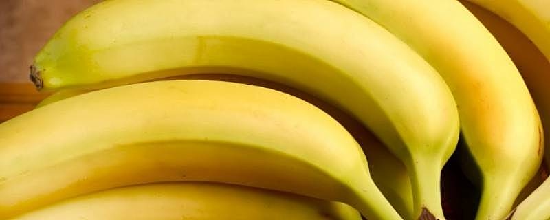 香蕉是水果吗