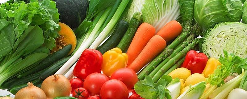 蔬菜中的水分占多少