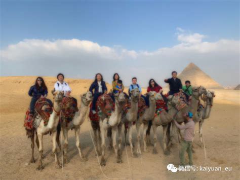 埃及旅游团