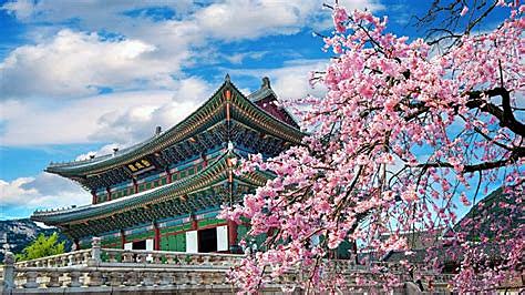 韩国旅游(韩国旅游签证最新政策2023)