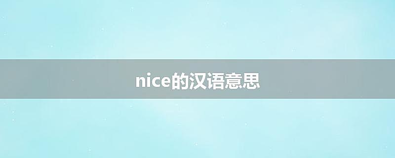 nice的汉语意思