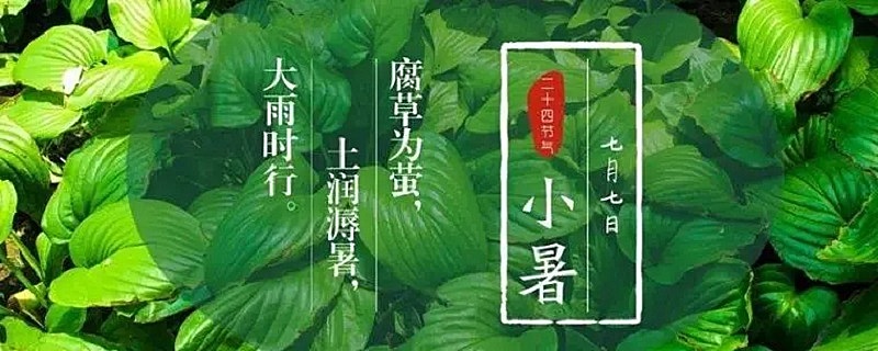 小暑的民间谚语